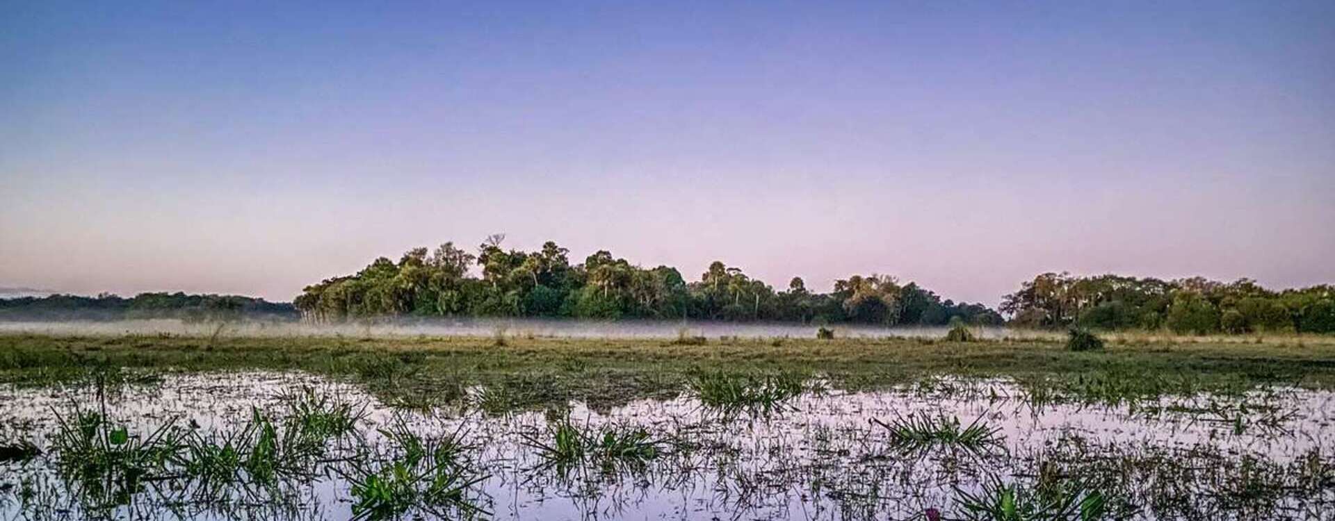 Guided Dove Hunts in Florida Florida Dove Hunting on Private Land