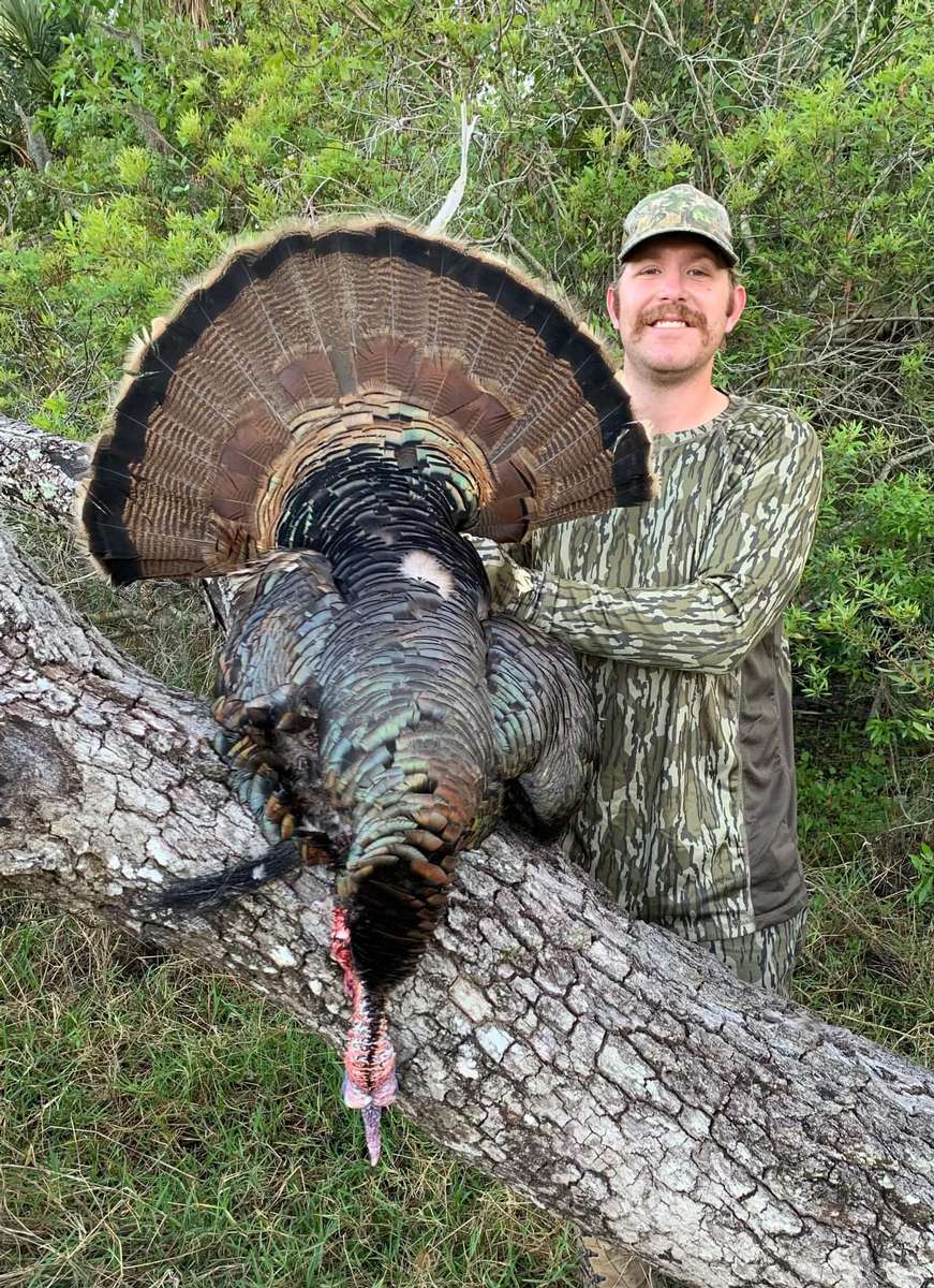 Guided Osceola Turkey Hunts in Florida Private Land Turkey Hunts FL