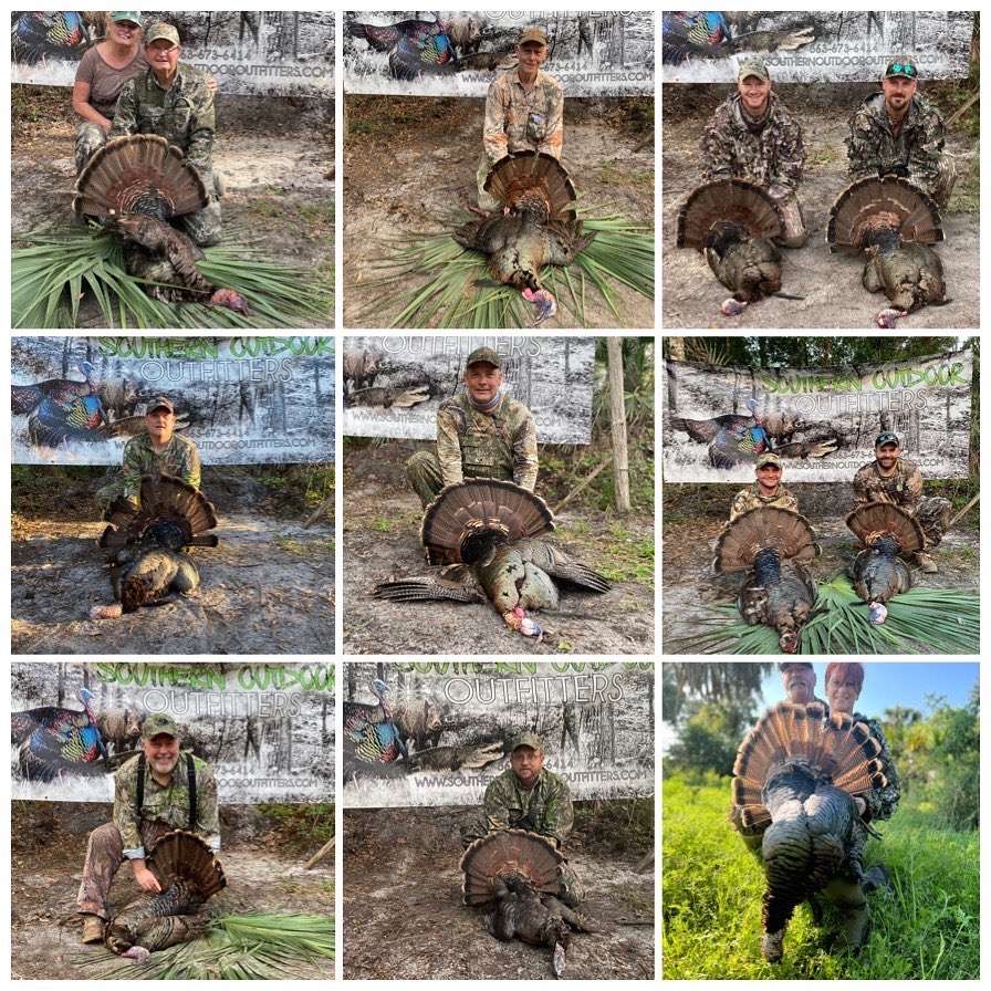 Guided Osceola Turkey Hunts in Florida