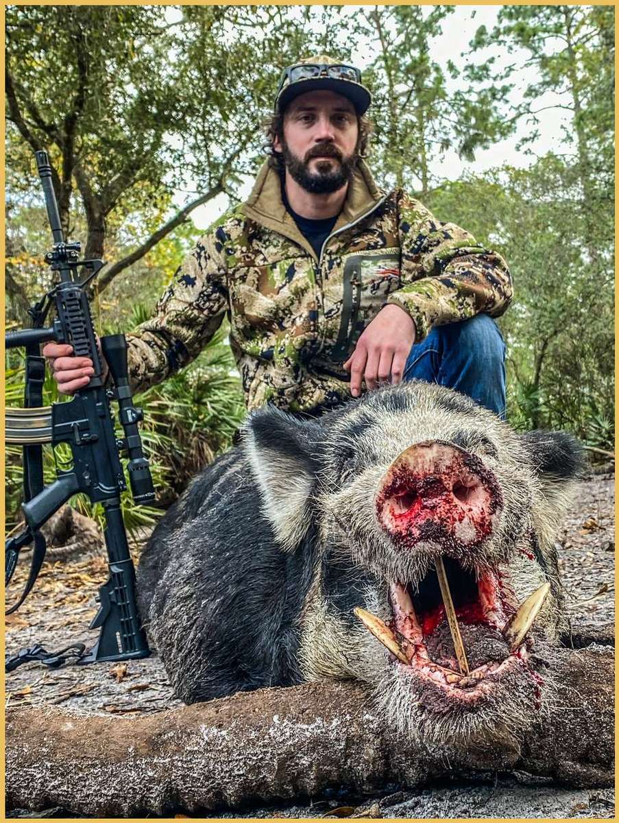 what kind of dogs are used for hog hunting